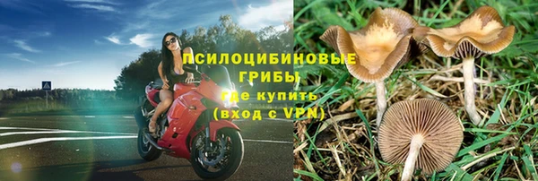 mdpv Абдулино