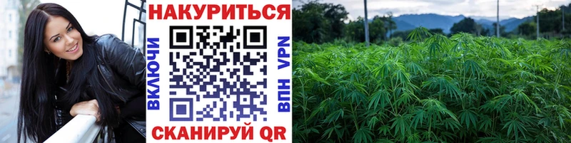Шишки марихуана VHQ  блэк спрут зеркало  Ильский 